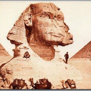 The Sphinx of the Pyramids Postcard Splendors of Egypt Portland Art Museum PC